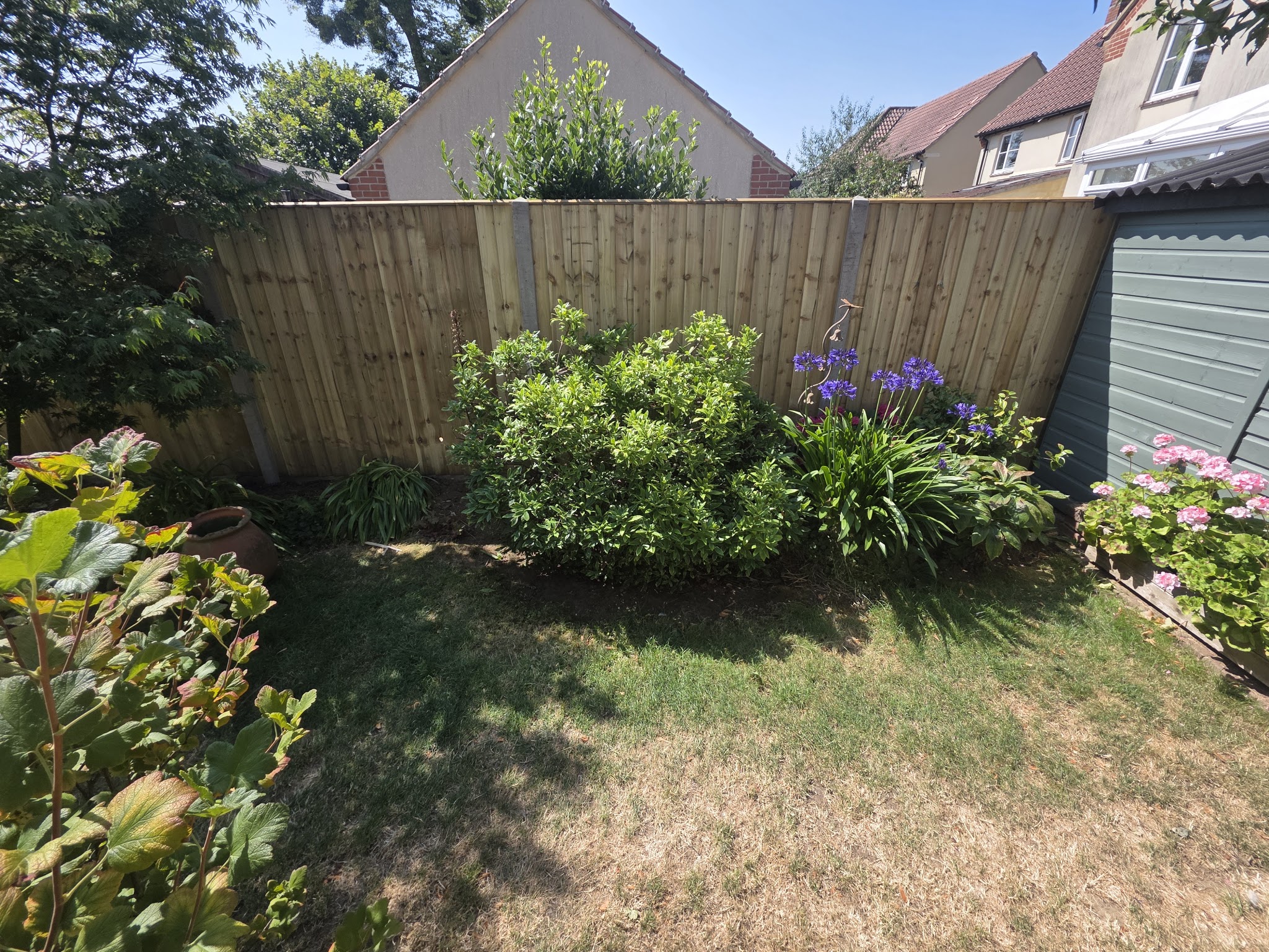 New closeboard fence behind established shrubs and a lawn